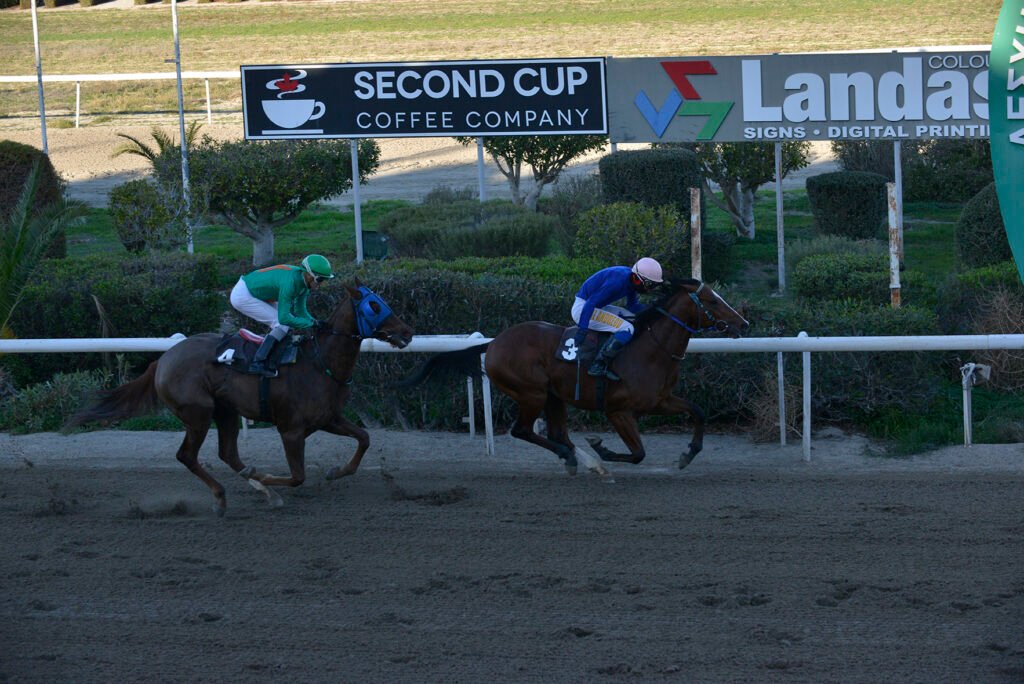 NDIGO KINGDOM_STK6357