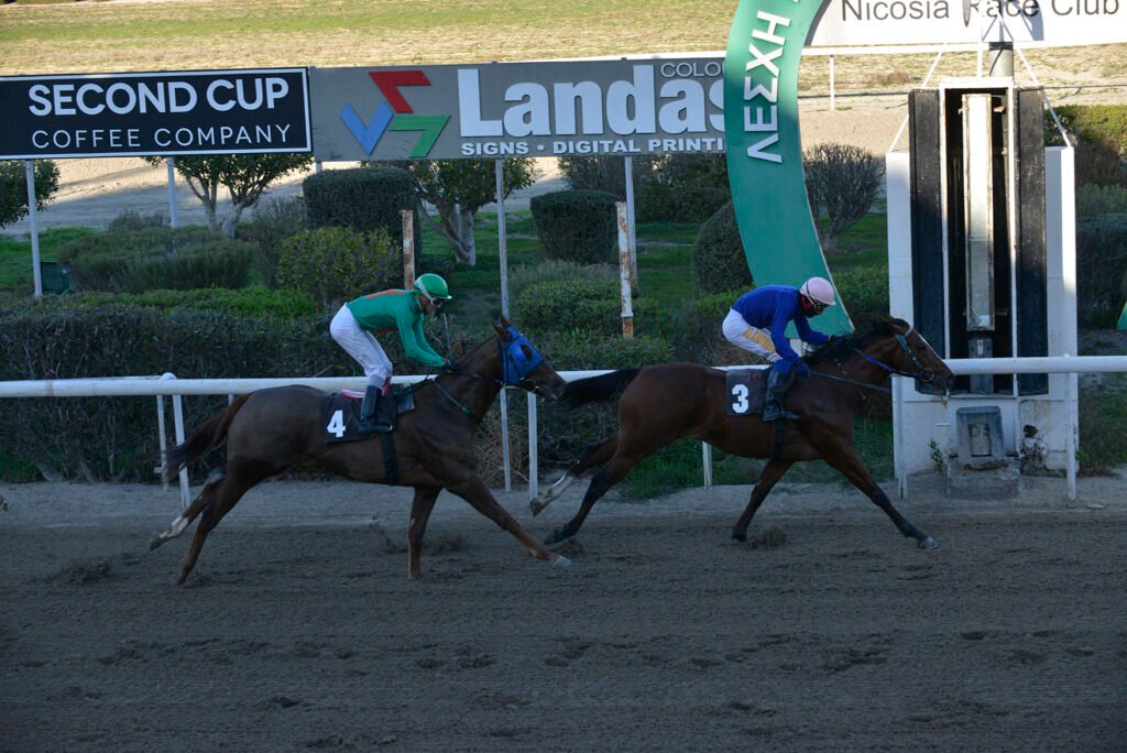 NDIGO KINGDOM_STK6358