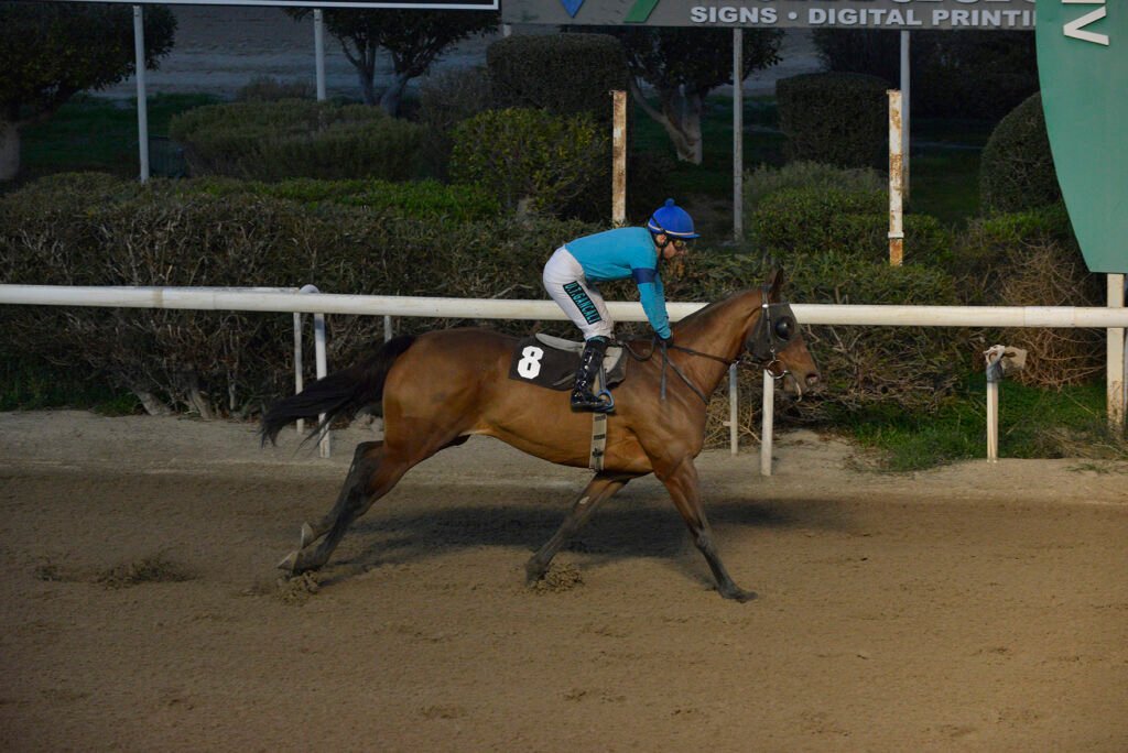 PRINCES RANIA_STK6396