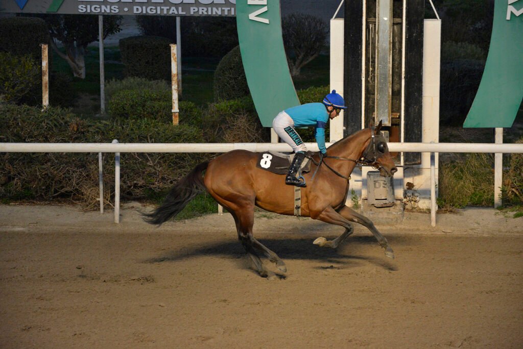 PRINCES RANIA_STK6397