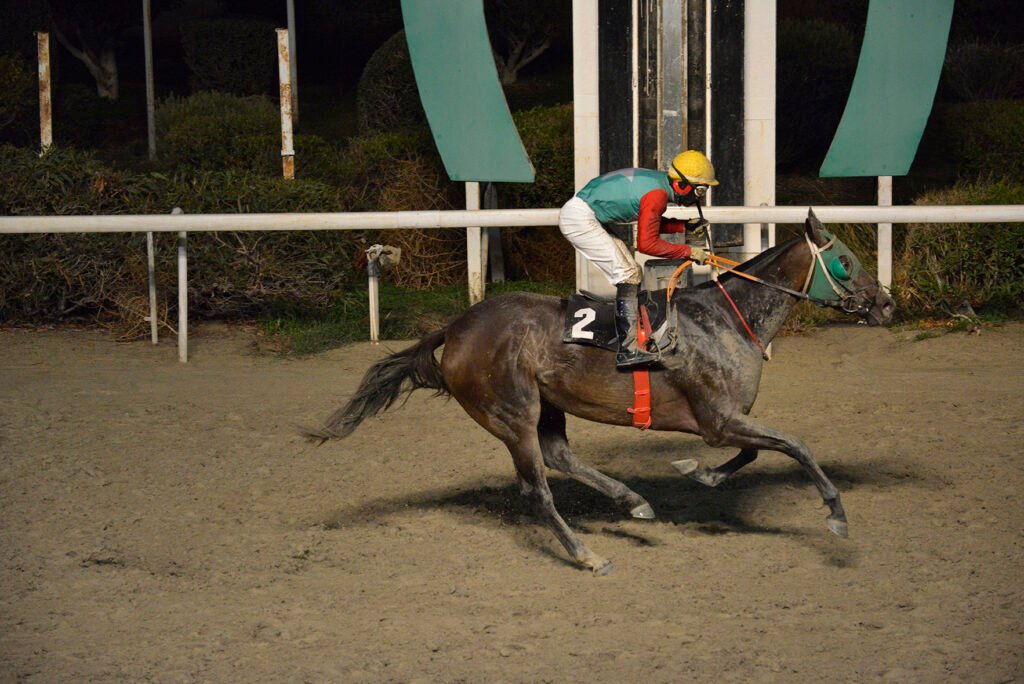 QUEEN RIANA 4.12.24_STK6099