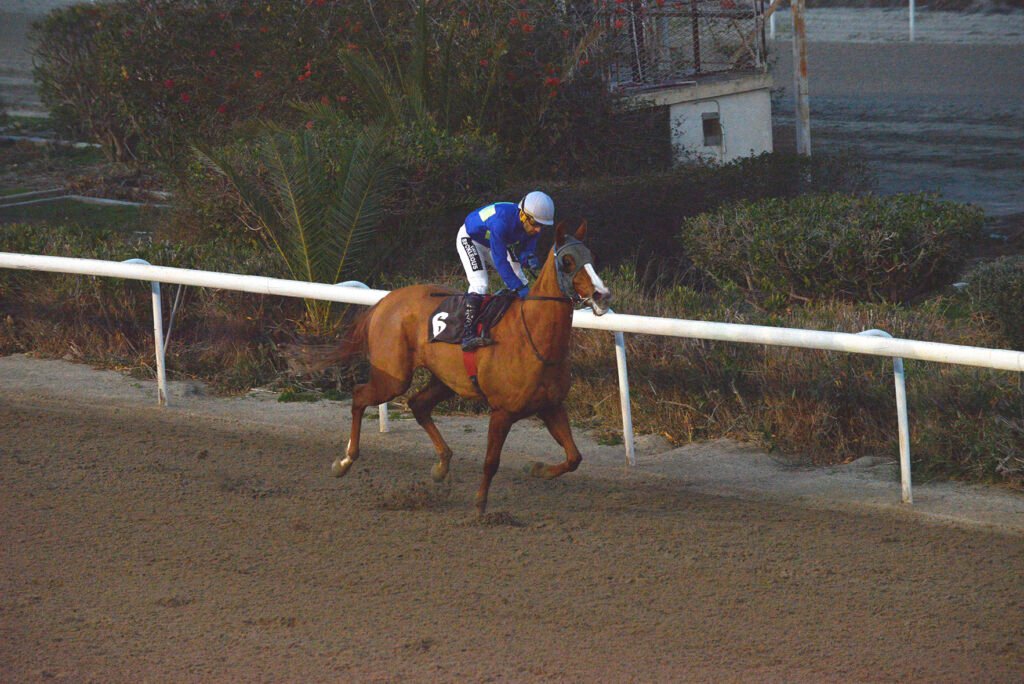 SPARTIATISSA_STK5929