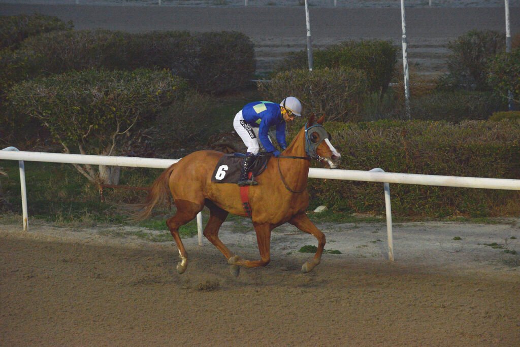 SPARTIATISSA_STK5930