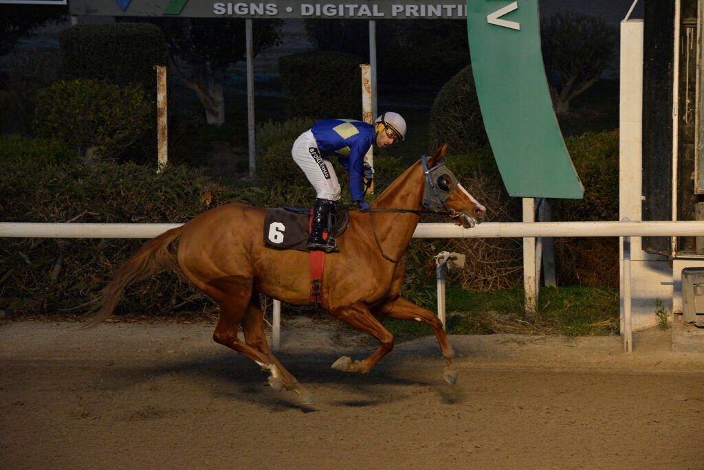 SPARTIATISSA_STK5931