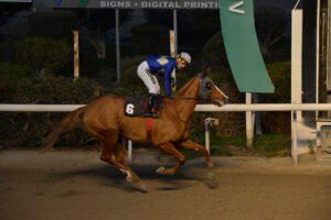 SPARTIATISSA_STK5931