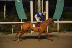 SPARTIATISSA_STK5932