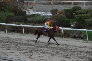 TERMPINATA 4.12.24_STK6019