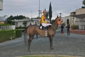 TERMPINATA 4.12.24_STK6030