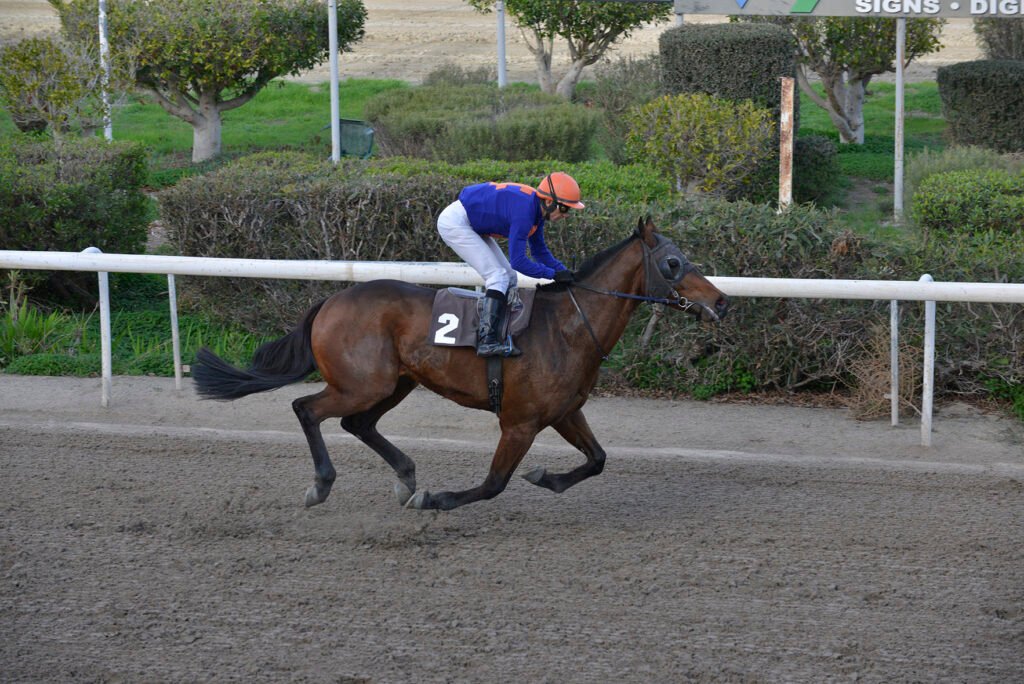 THEOFRASTOS 22.12.24_STK6557