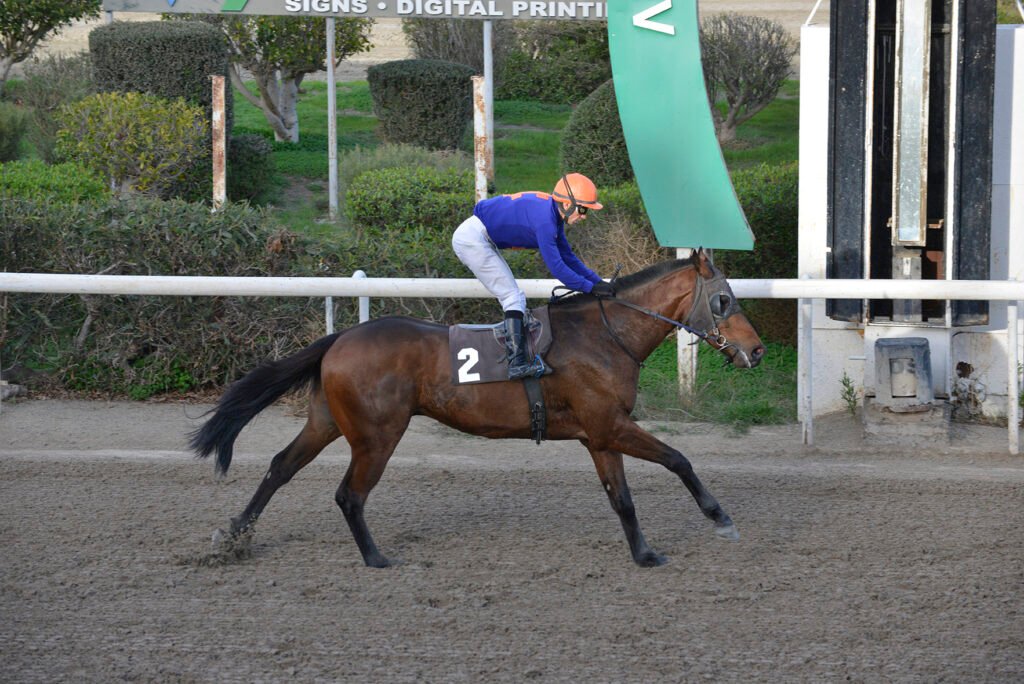 THEOFRASTOS 22.12.24_STK6558