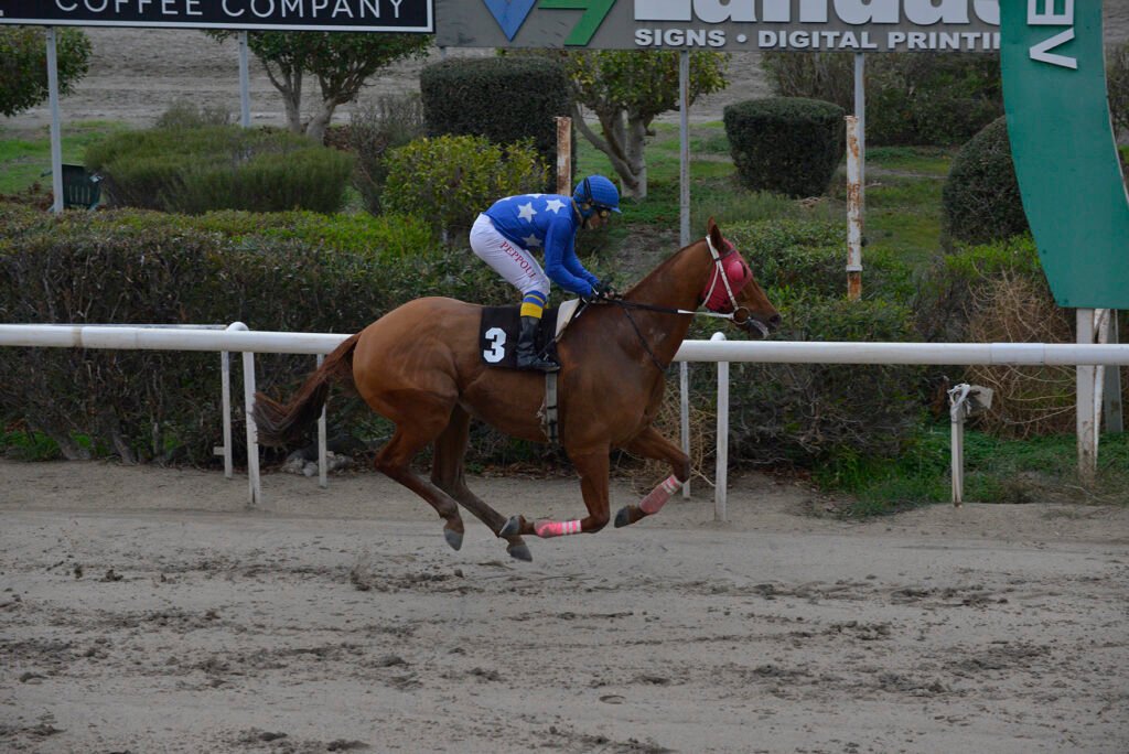 TSAGGARAS BROTHER 4.12.24_STK6011