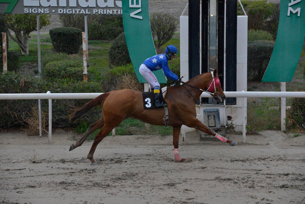 TSAGGARAS BROTHER 4.12.24_STK6012