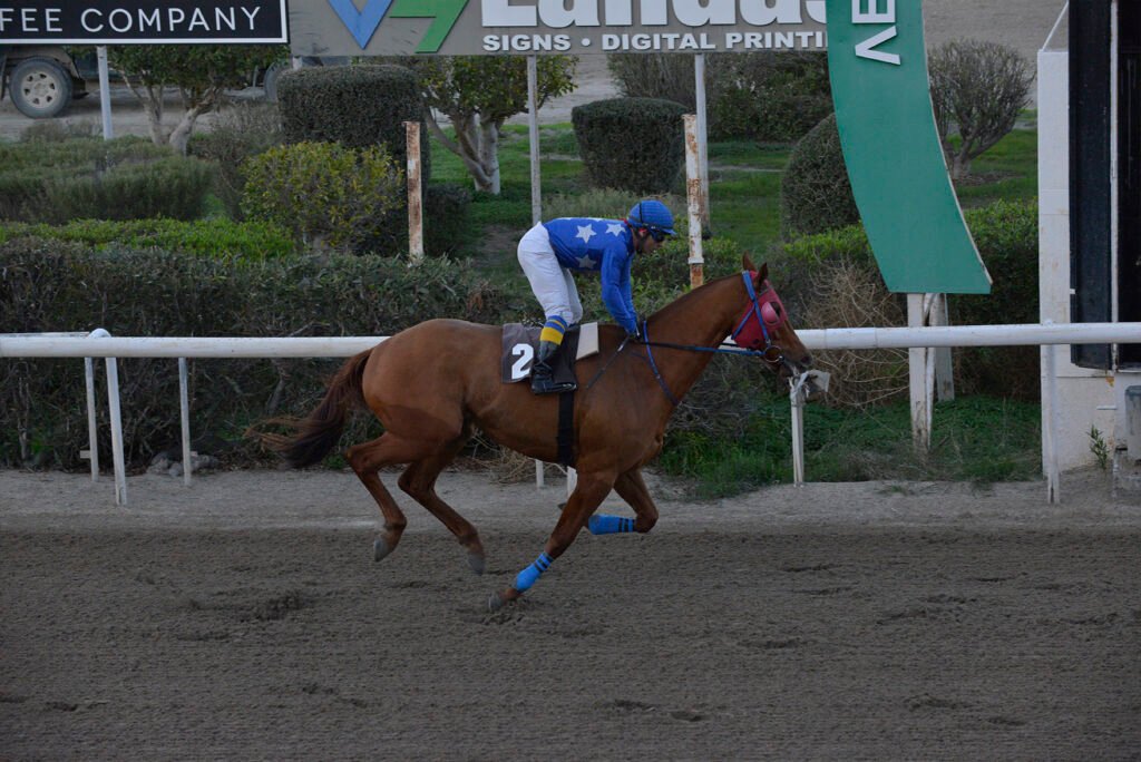 TSAGGARAS BROTHER_STK6383