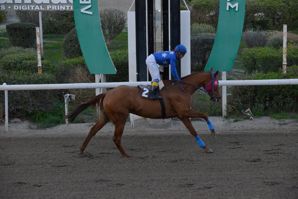 TSAGGARAS BROTHER_STK6384