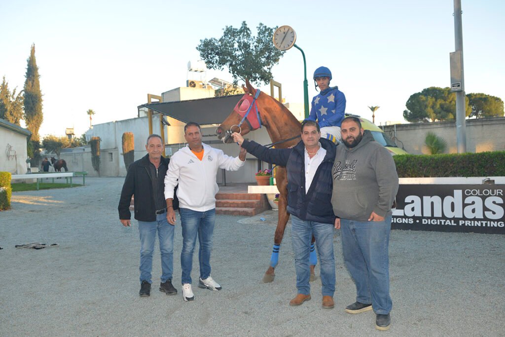 TSAGGARAS BROTHER_STK6390