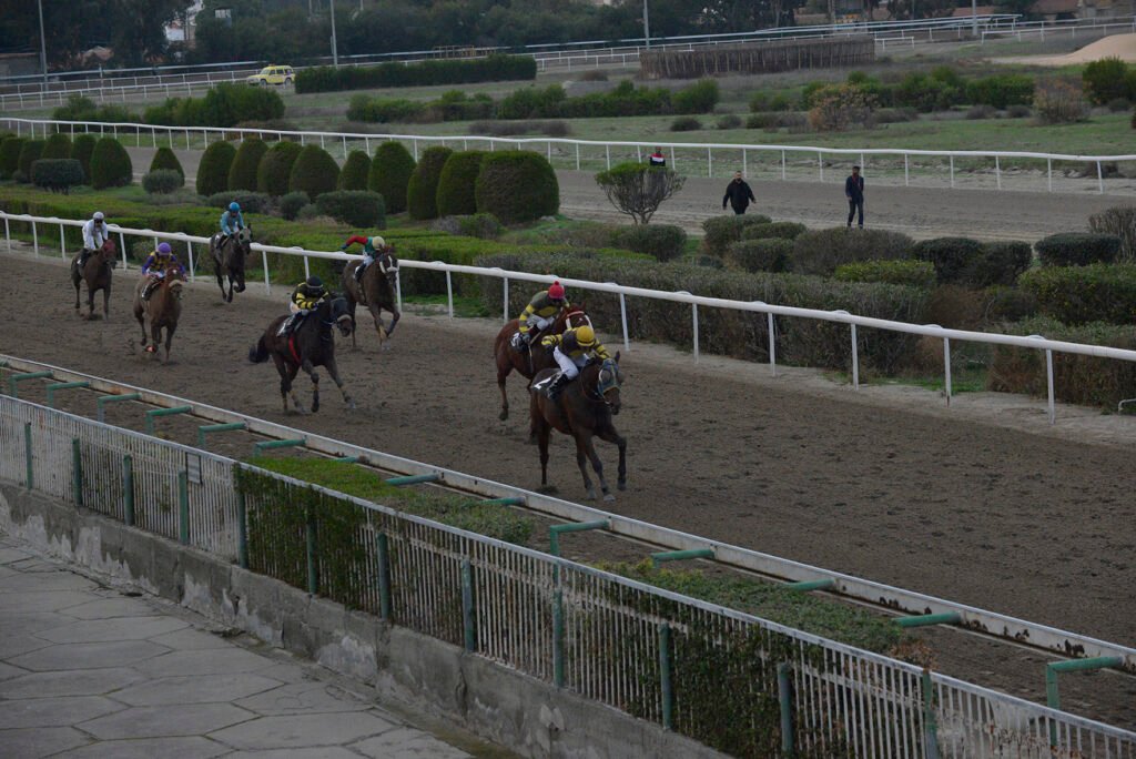 TSERKOTIS PSILLOS_STK6266