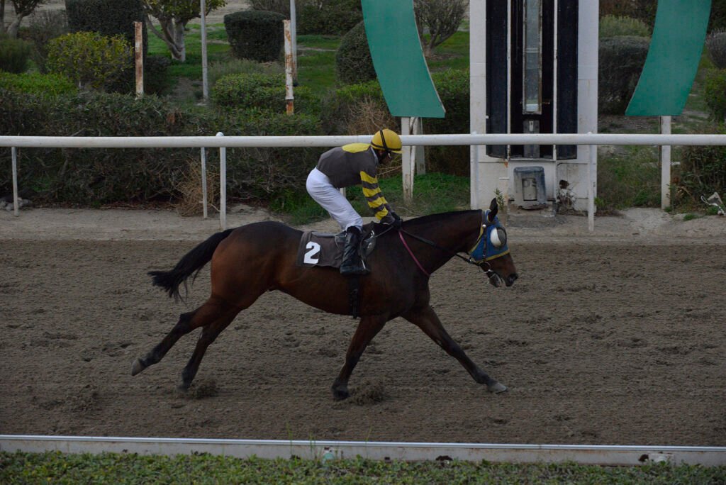 TSERKOTIS PSILLOS_STK6267