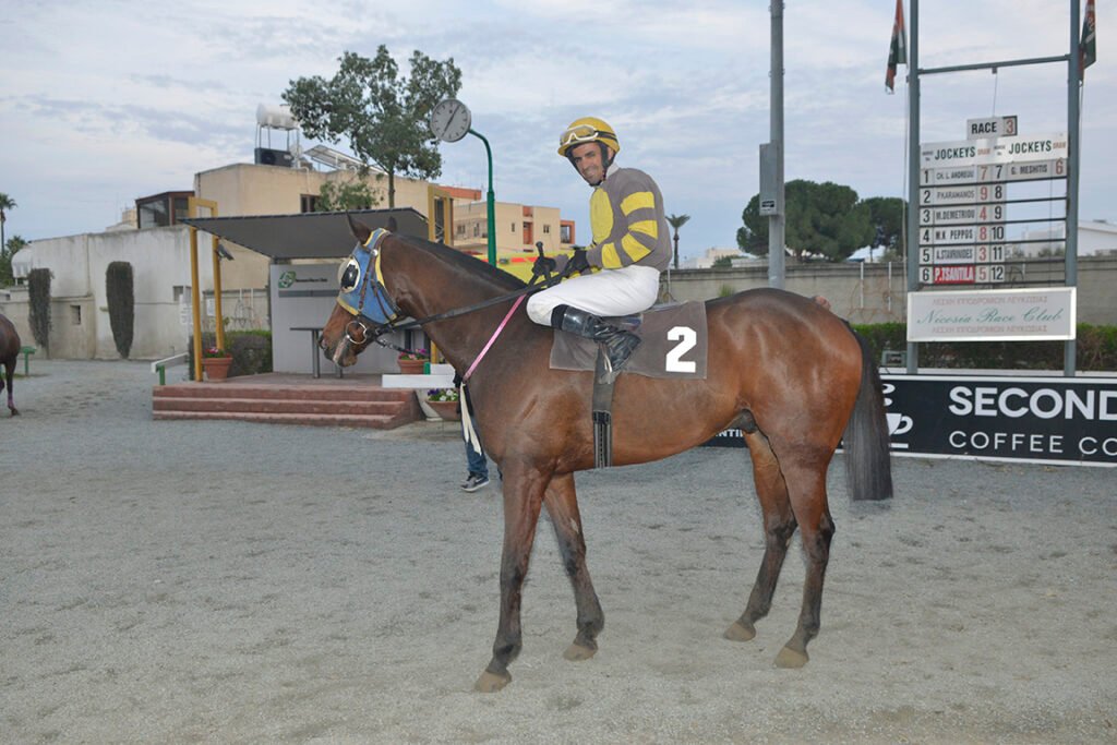 TSERKOTIS PSILLOS_STK6271