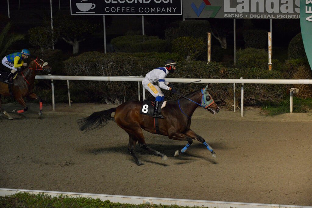 VRAKAS LEGACY_STK6252