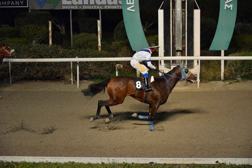 VRAKAS LEGACY_STK6253