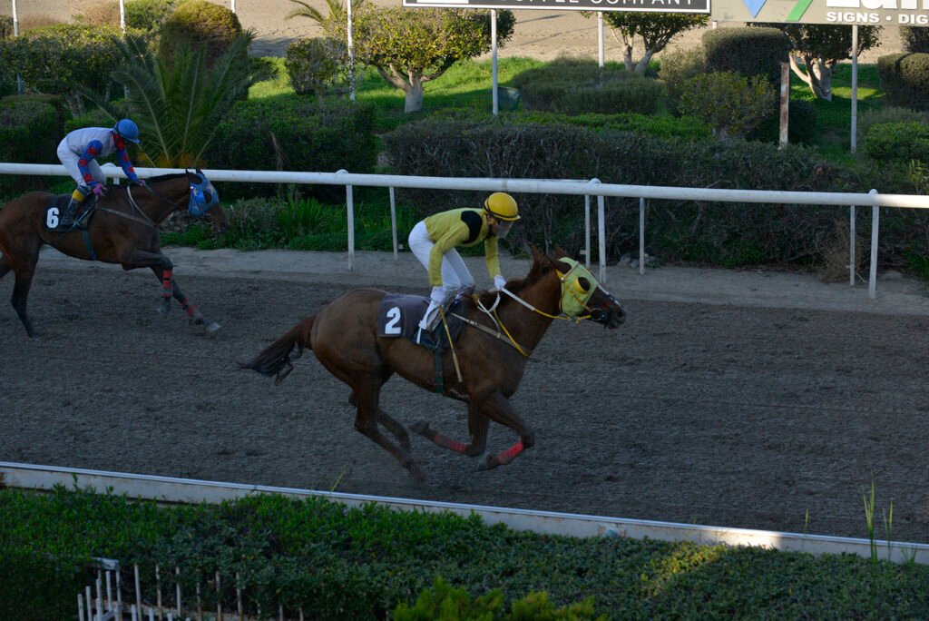 ARKANTIAN 6.1.25_STK6987