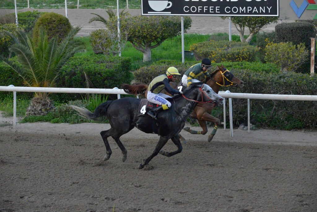 BEN GUN 26.1.25_STK7576