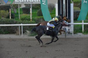 BEN GUN 26.1.25_STK7578