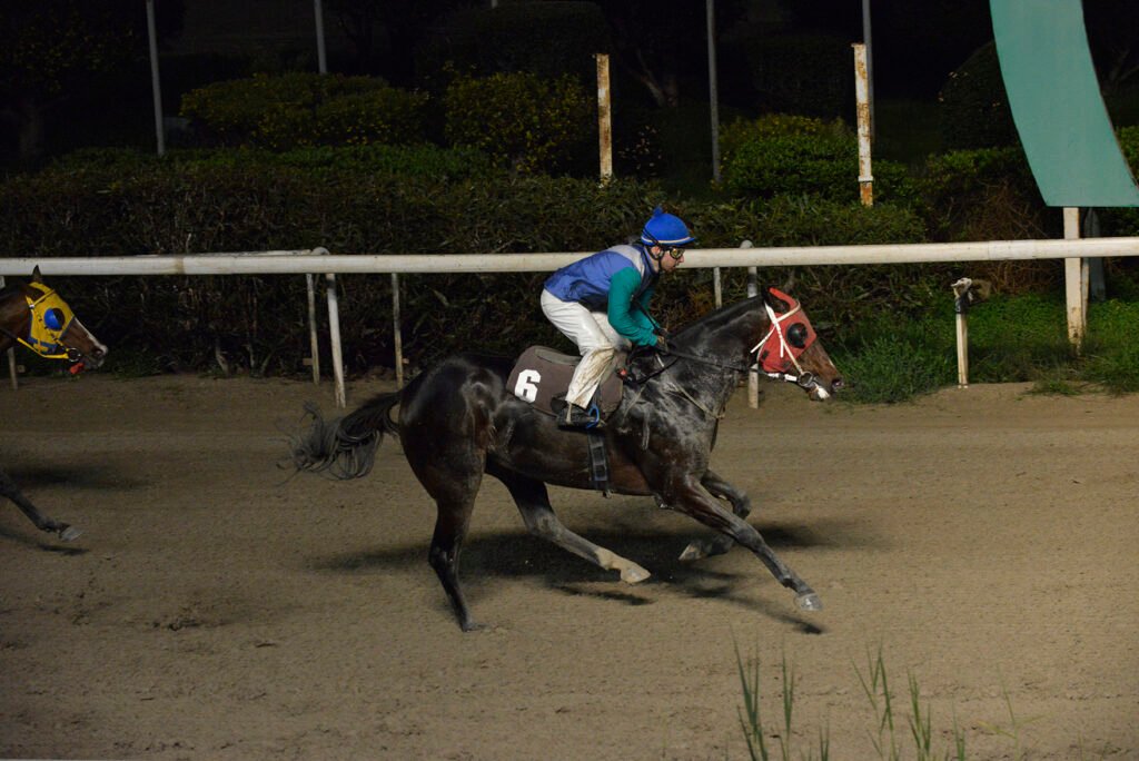 BLACKJACK JO_STK7480