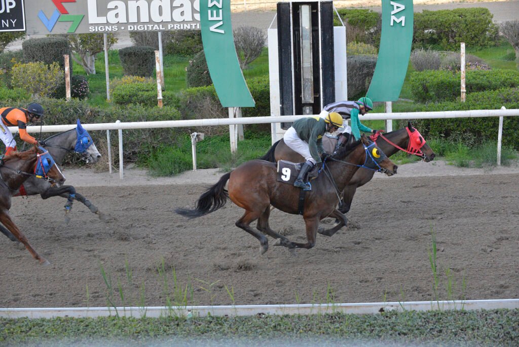 BLUE AKALYPTOS_STK7677