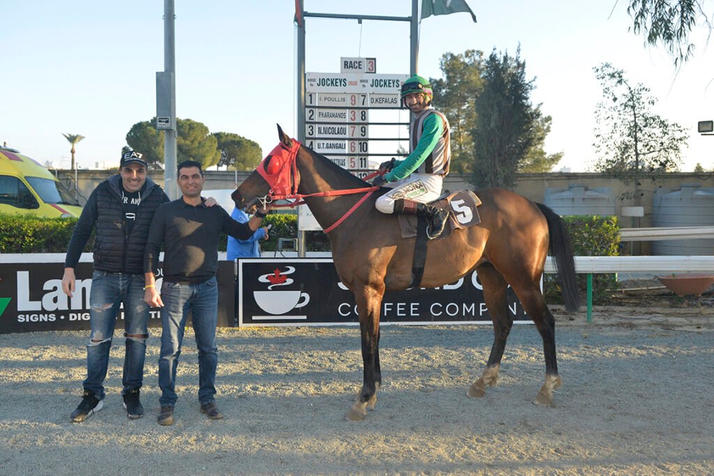 BLUE AKALYPTOS_STK7684