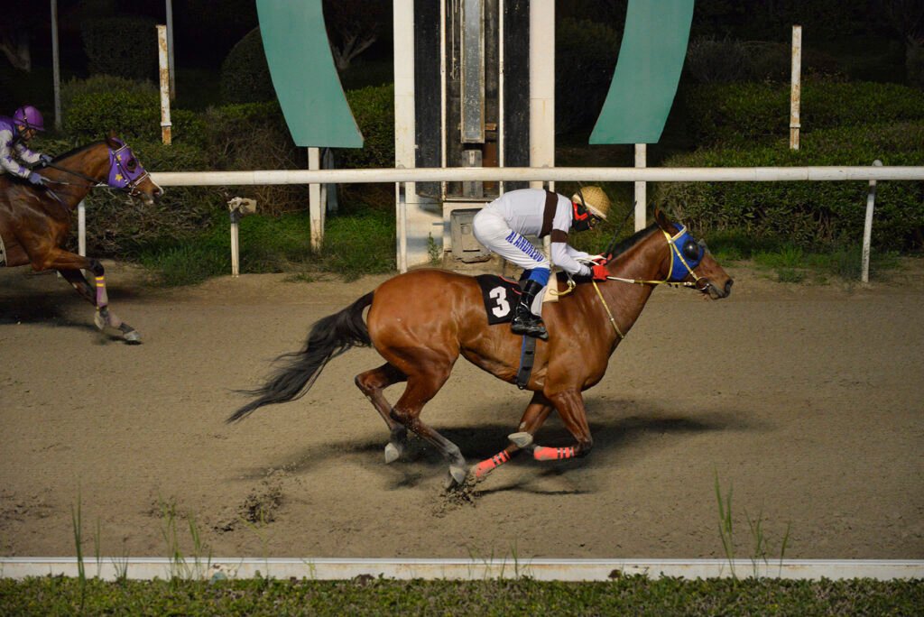 EMMONI 6.1.25_STK7070