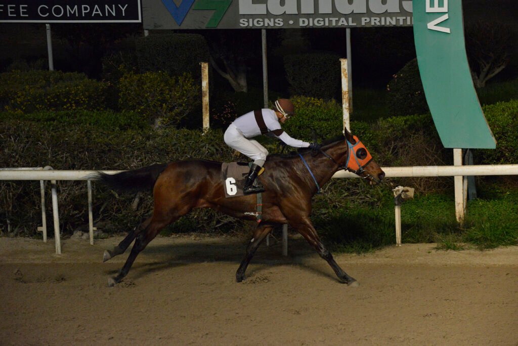 EPAMINONTAS 26.1.25_STK7638