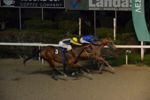 GERGANA_STK7139.GERGANAPG