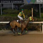 GIORKATSOS – EPATHLO GEORGIOU VASILEIADE_STK7390