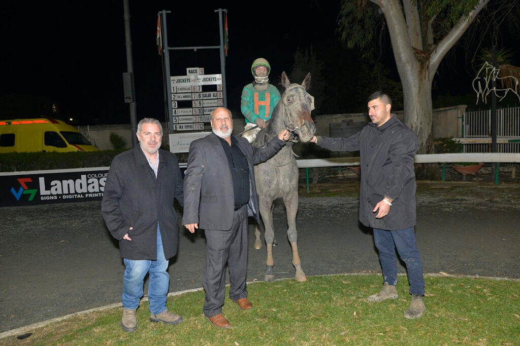 HAWAII DARLING_STK6886