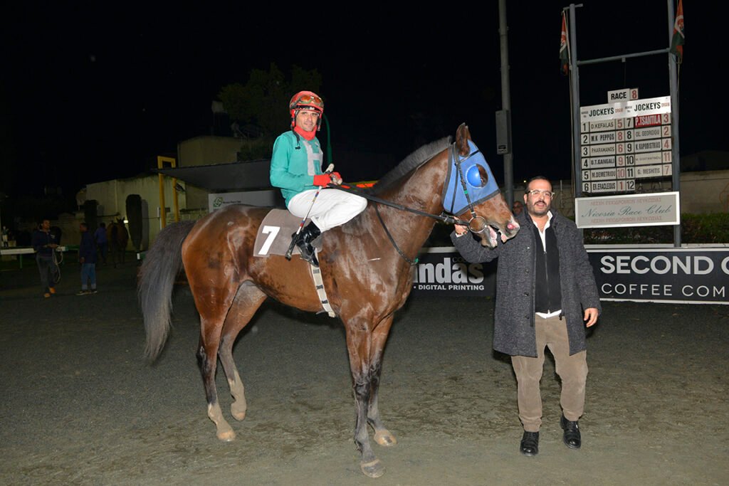 HAWAII MAJESTIK_STK7514