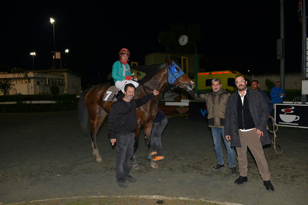 HAWAII MAJESTIK_STK7517