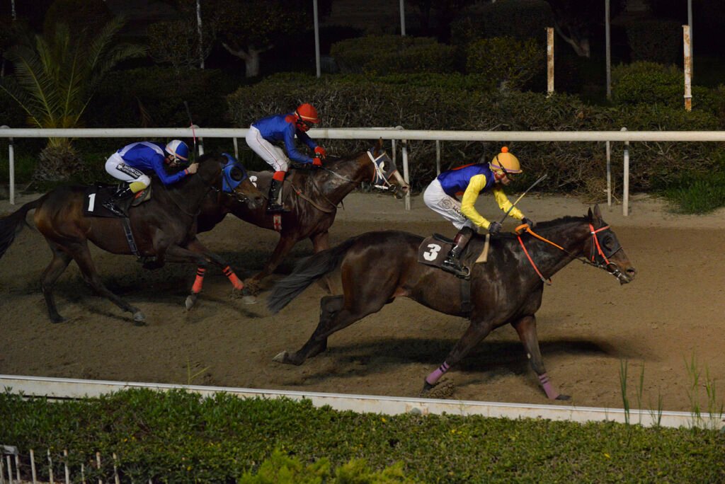 HAWAII QUEENS 15.1.25_STK7310