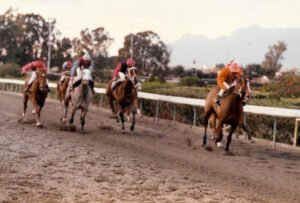 Hawaii Harmony-Kypello Xeimonos-11.01.1998 -01 2