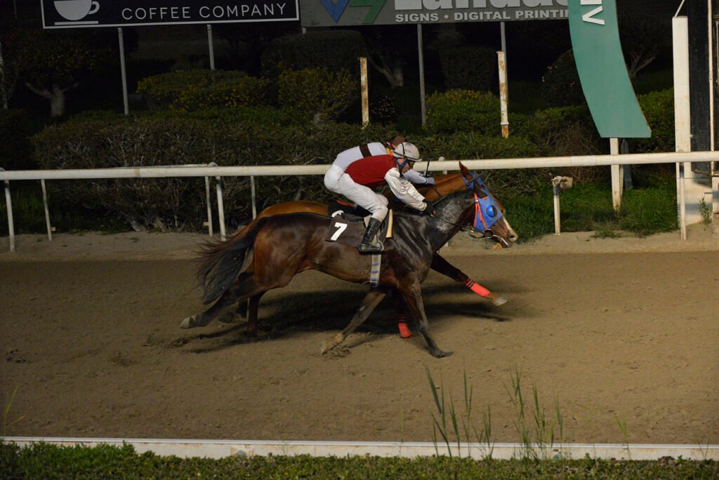 IEROS VRACHOS_STK7739