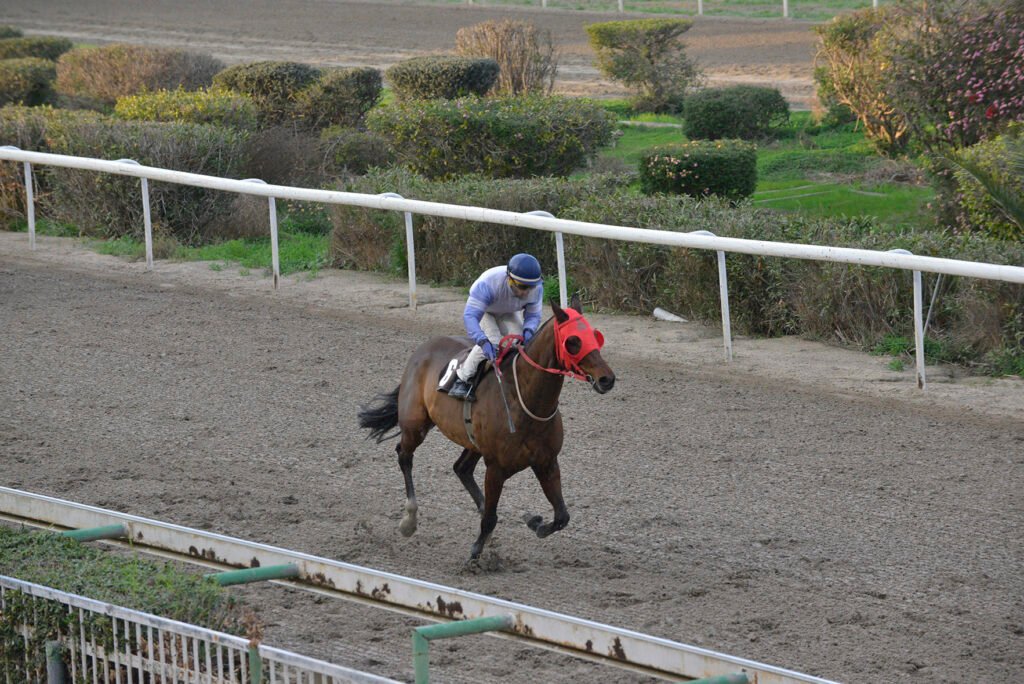 JAKKYS POWER 5.1.25_STK6919