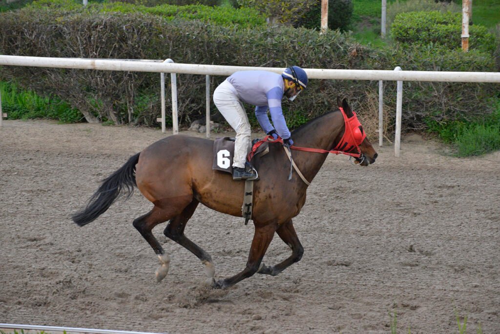 JAKKYS POWER 5.1.25_STK6921