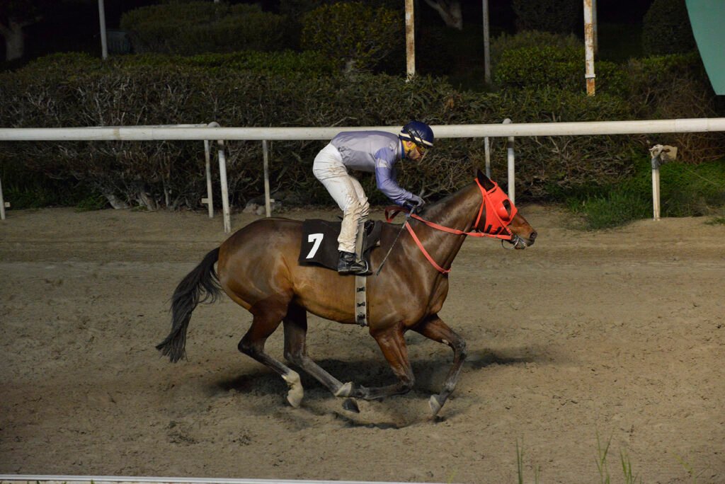 JAKKYS POWER_STK6830