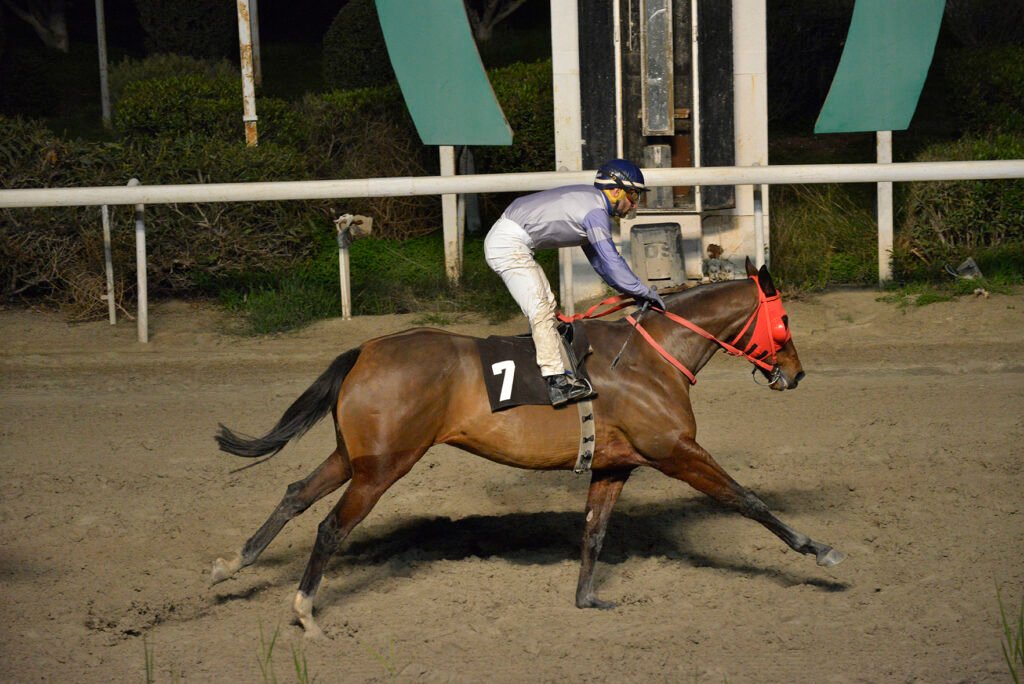 JAKKYS POWER_STK6831