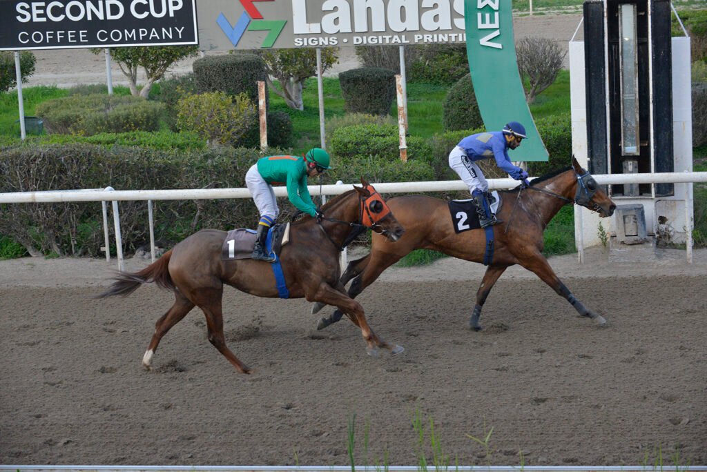 KARAMPINA 15.1.25_STK7270