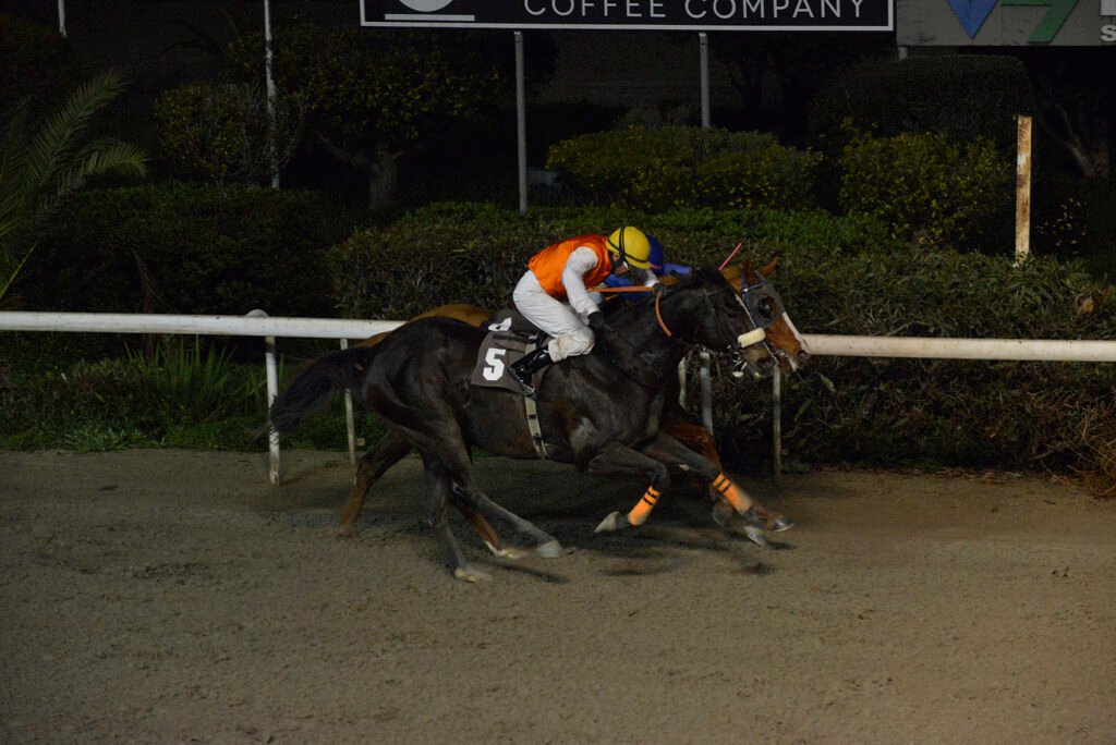 KINGK VAKLAS_STK7486