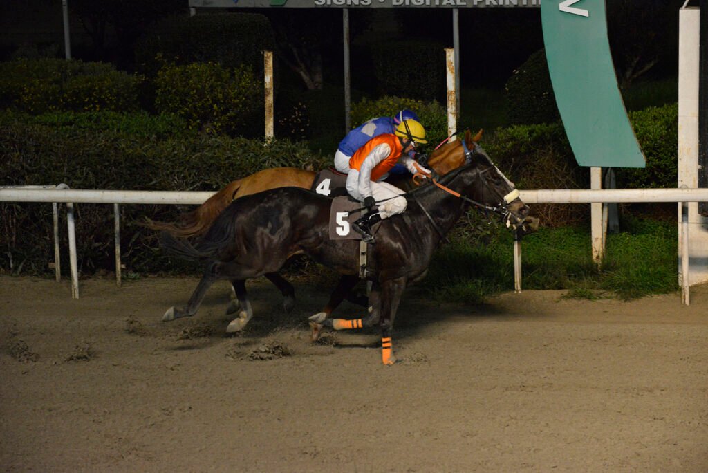 KINGK VAKLAS_STK7487