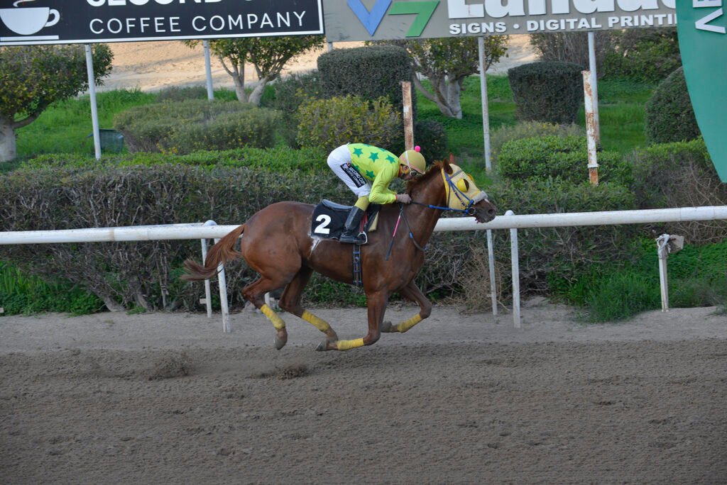 KOKO 15.1.25_STK7262