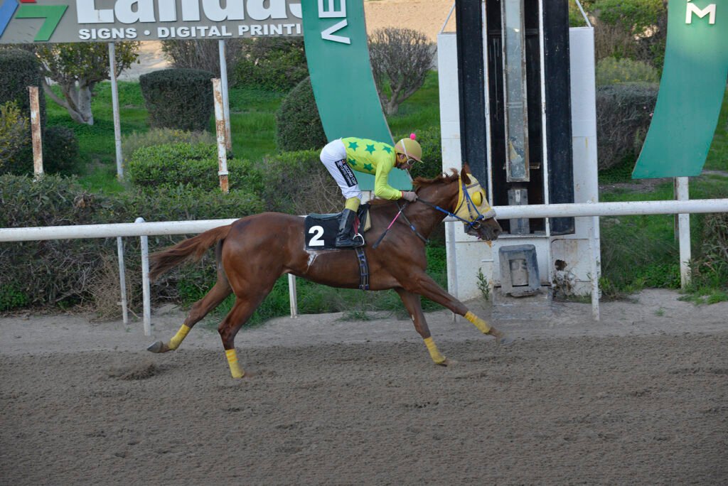 KOKO 15.1.25_STK7263