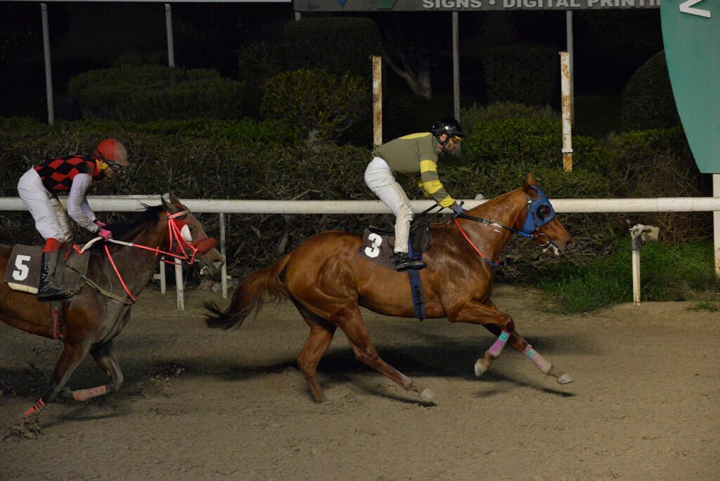 KOTSIA SANE 5.1.25_STK6978